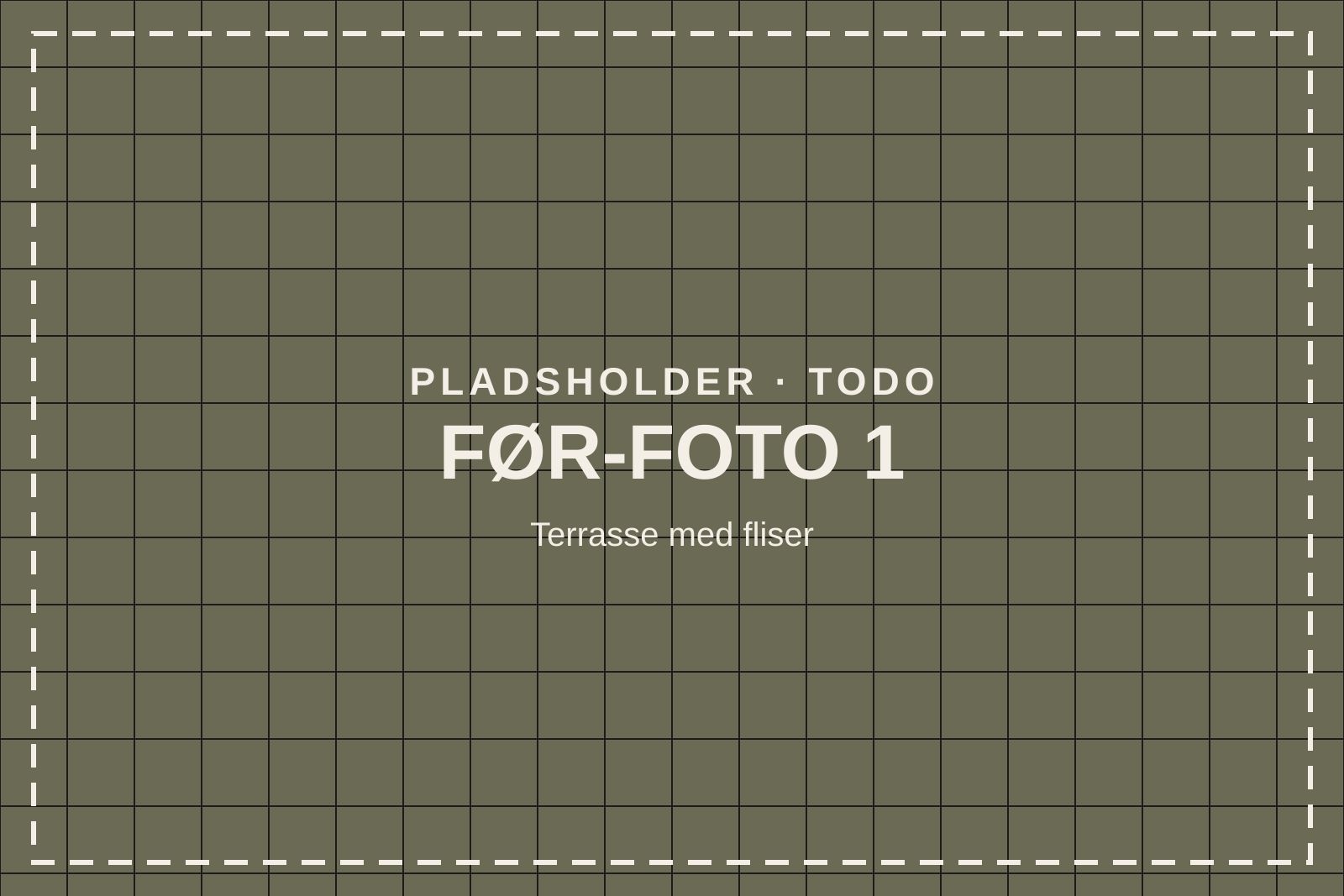 Fliseterrasse med alger og mos i fugerne (pladsholder)