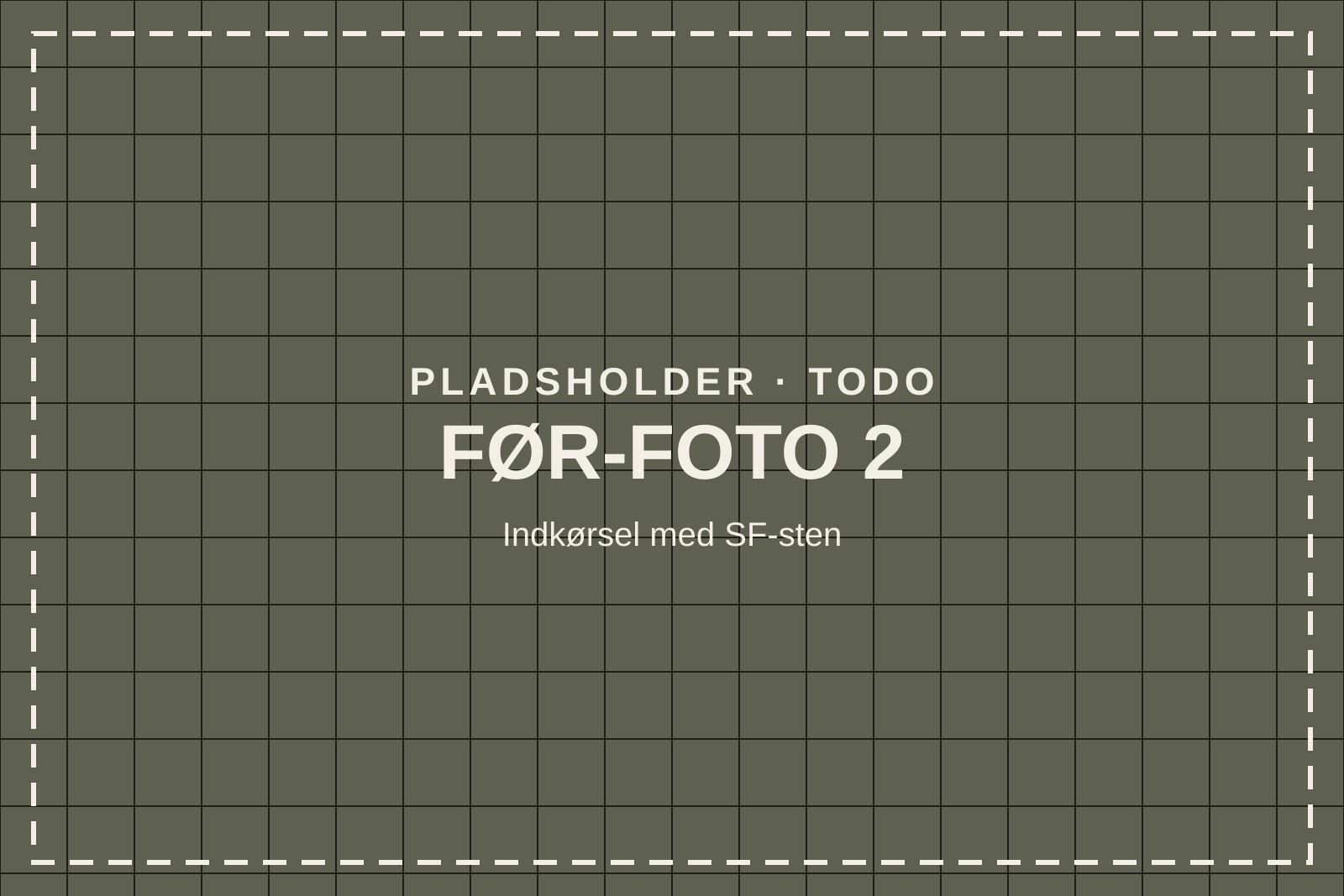 Indkørsel med mørke belægninger og ukrudt i fugerne (pladsholder)