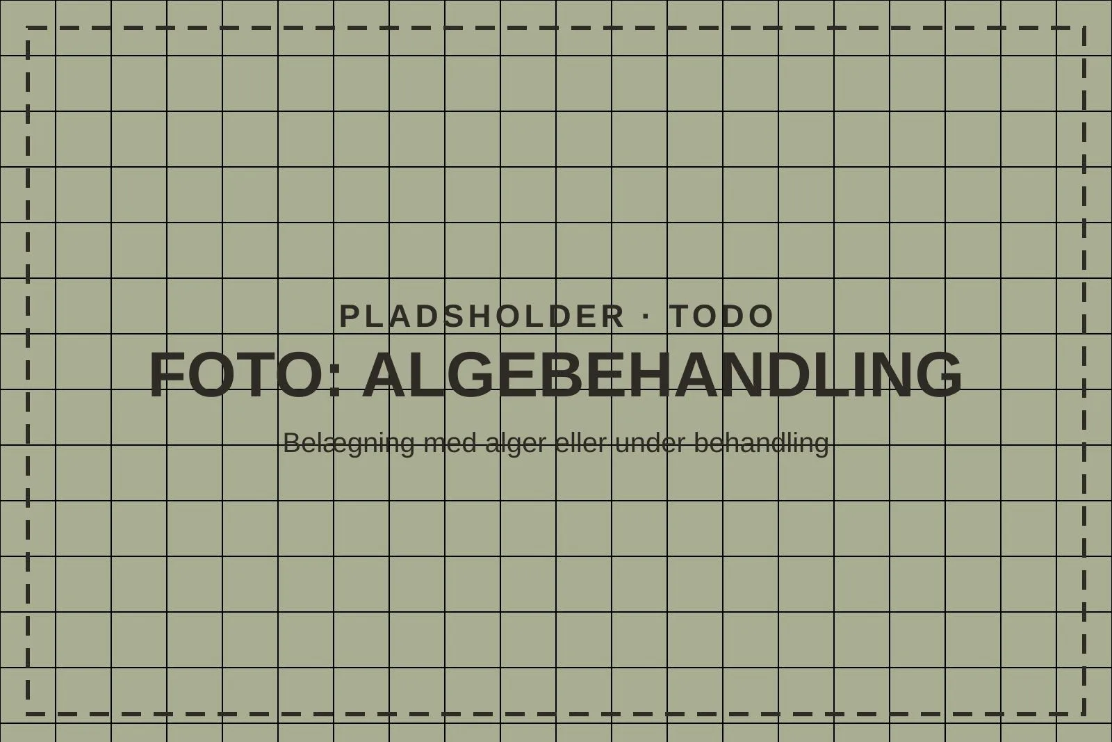 Belægning med grønne alger før behandling (pladsholder)