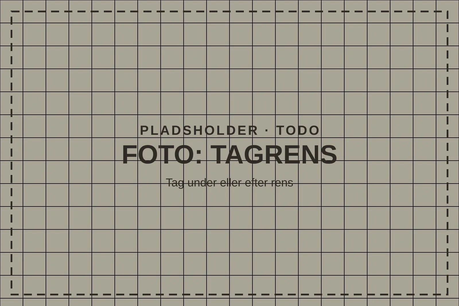 Tag med mos før tagrens (pladsholder)